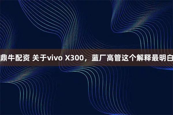 鼎牛配资 关于vivo X300，蓝厂高管这个解释最明白