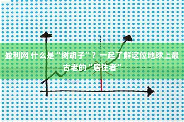 盈利网 什么是“树胡子”？一起了解这位地球上最古老的“居住者”